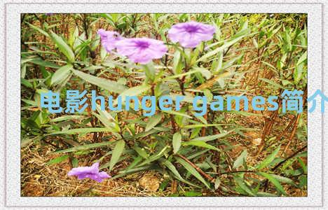 电影hunger games简介(《the hunger games》)